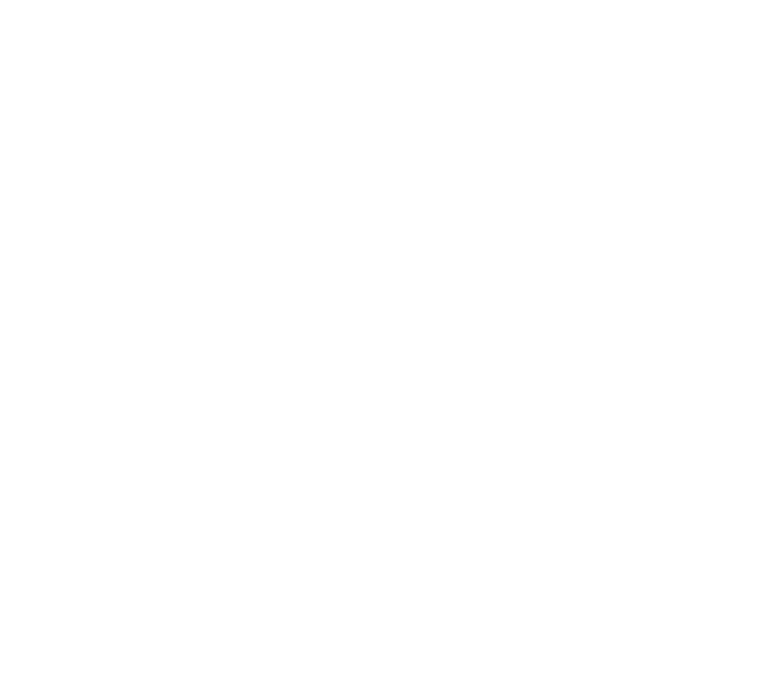 BNN City